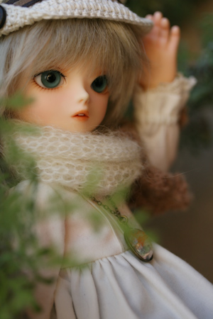 330nao8.jpg