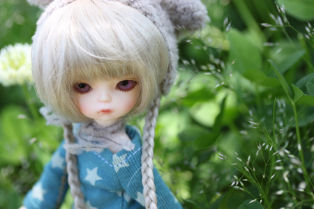 517ss16.jpg