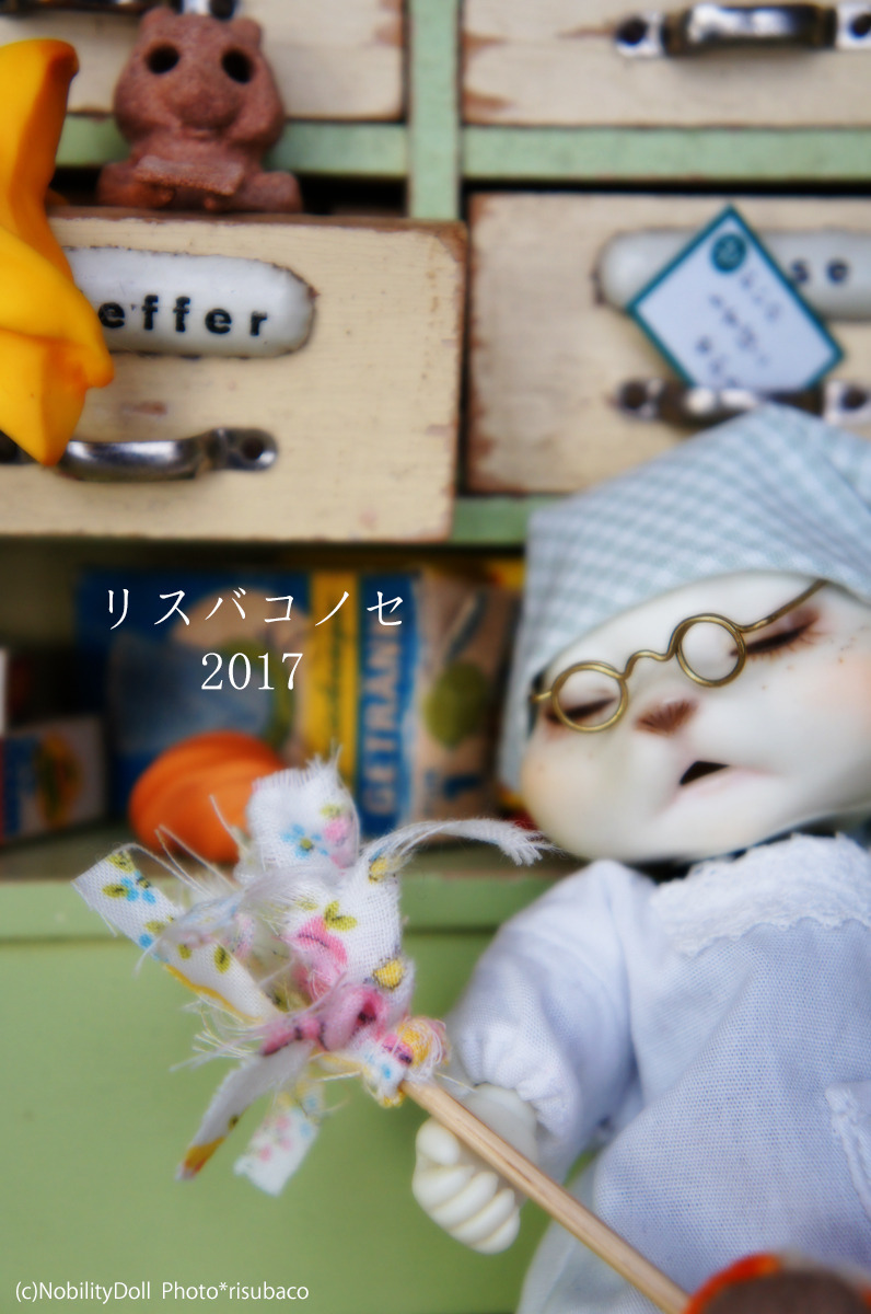 リスバコノセ.jpg